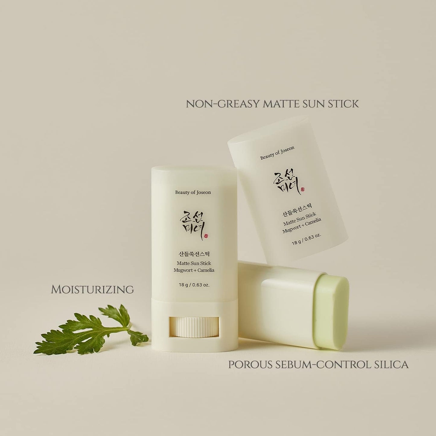 Beauty of Joseon | MATTE SUN STICK: MUGWORT + CAMELIA SPF50 - Protection solaire